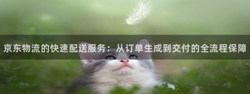 TP钱包安卓版app下载：京东物流的