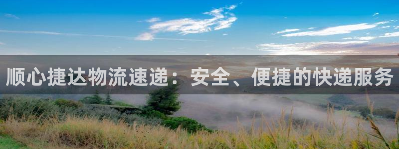 tpapanna官网：顺心捷达物流速