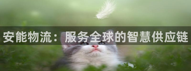 tp钱包挖矿教程：安能物流：服务全球