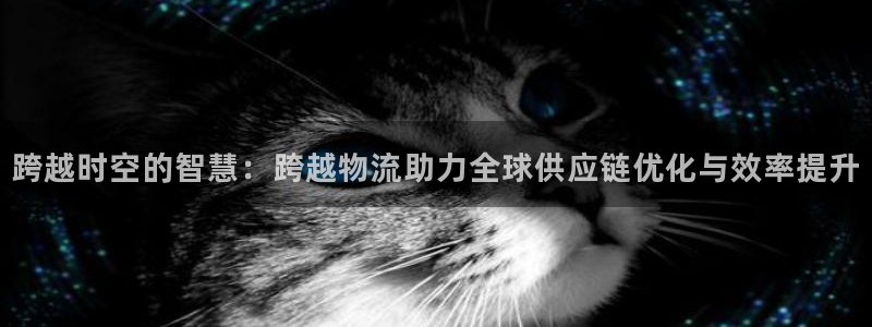 怎么下载tp钱包：跨越时空的智慧：跨