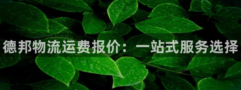 tp官网钱包网址：德邦物流运费报价：