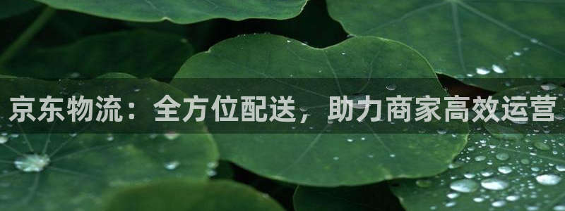 2021年9月tp钱包空投骗局