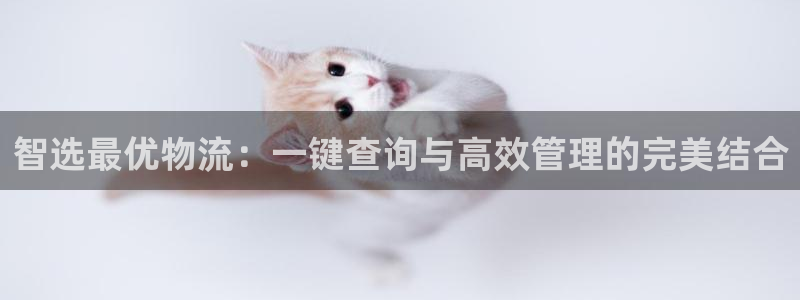 tp钱包安卓下载方法