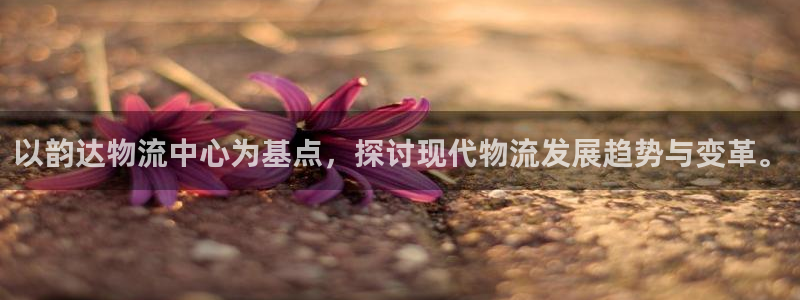 tp数字钱包被盗如何追回：以韵达物流