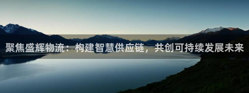 tp钱包怎么购买ht：聚焦盛辉物流：
