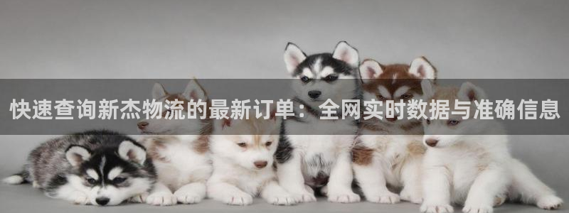 tp钱包买的币在哪里：快速查询新杰物