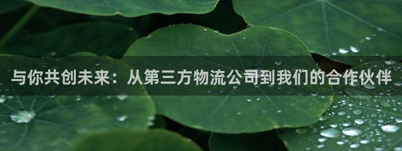 如何把usdt转到tp钱包：与你共创