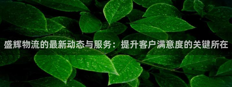 tp钱包跨链：盛辉物流的最新动态与服