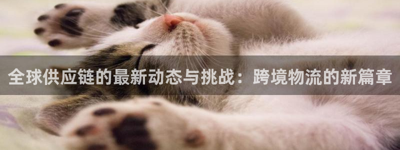 TP官方安卓最新版本为什么打不开：全