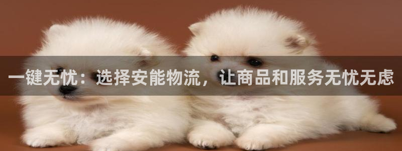 tp钱包客服热线