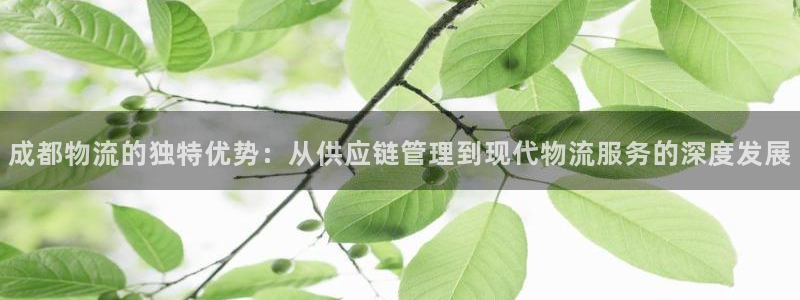 Tp钱包官网安卓版下载