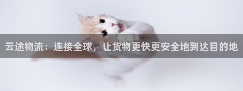 tp钱包app里浏览器不能用了吗