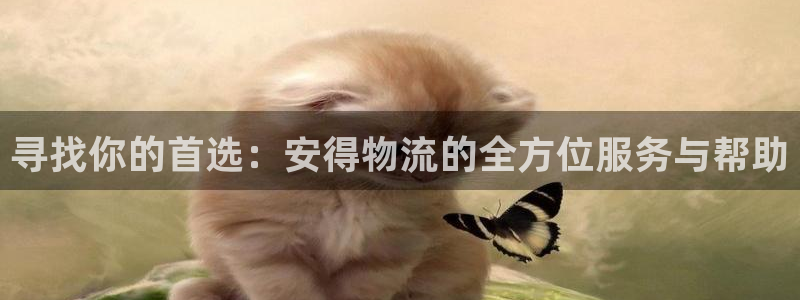 tp钱包被盗如何处理：寻找你的首选：
