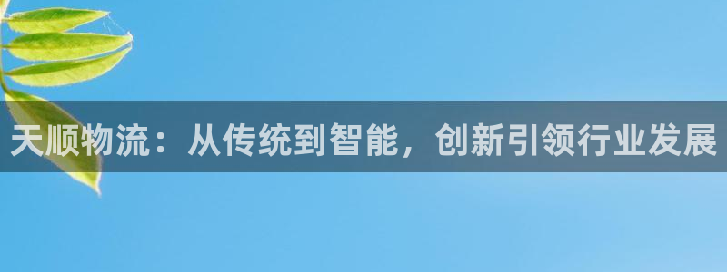 tp钱包官方下载最新版：天顺物流：从