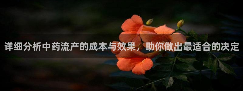 tp钱包被盗了怎么找回