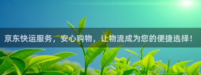 tptp安装入口：京东快运服务，安心