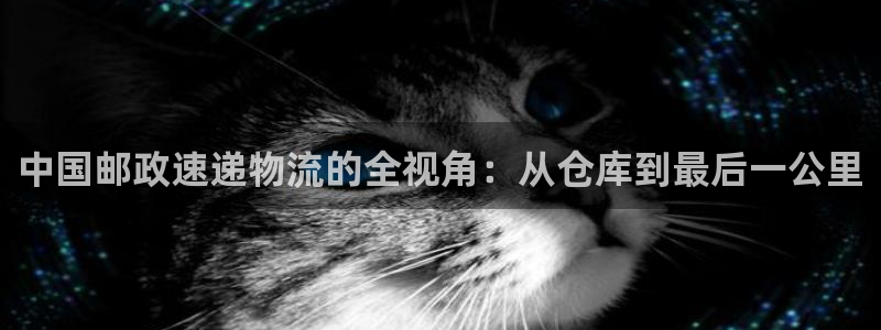 tp钱包下载苹果版本：中国邮政速递物