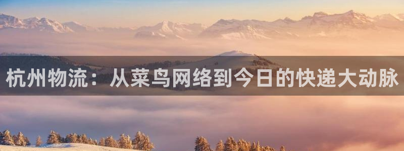 tp钱包怎么把币转回交易所：杭州物流