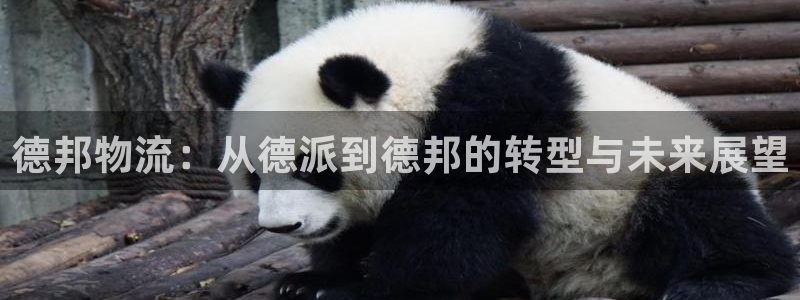 TP钱包官网下载安装使用教程：德邦物