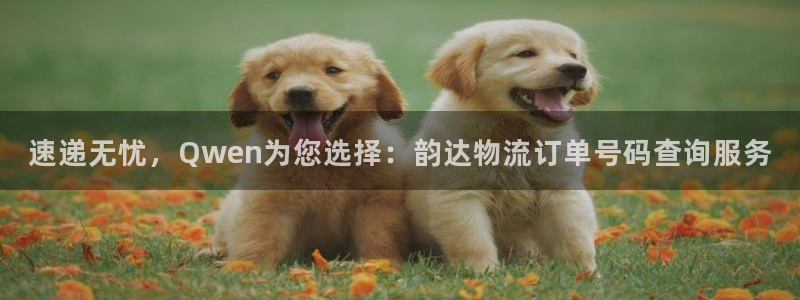 tp钱包怎么下载其它版本：速递无忧，