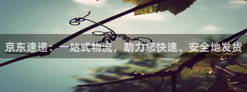 tp钱包资产归集：京东速递：一站式物
