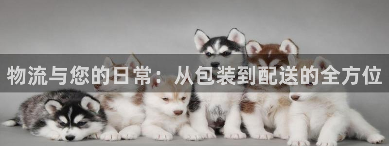 tp钱包bsc链怎么转到波场链：物流