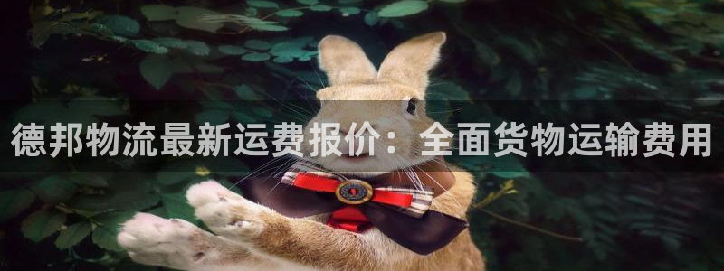 tp钱包无法连接