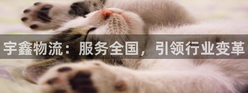 tp钱包买狗狗币：宇鑫物流：服务全国