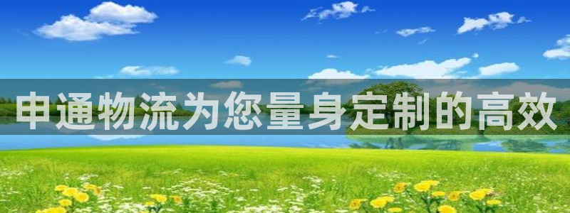 TP钱包怎样升级：申通物流为您量身定
