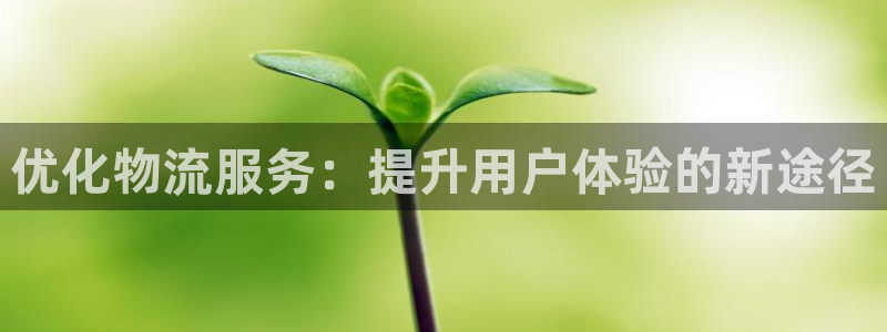 tp钱包涨幅：优化物流服务：提升用户
