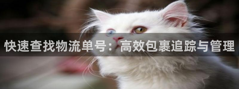 tp钱包BNB怎么卖掉：快速查找物流