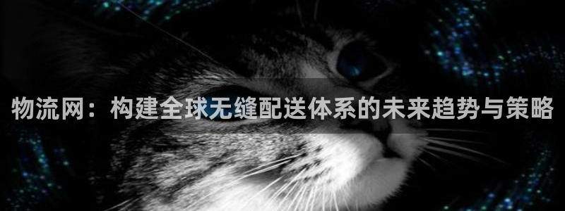 安卓手机下载tp钱包