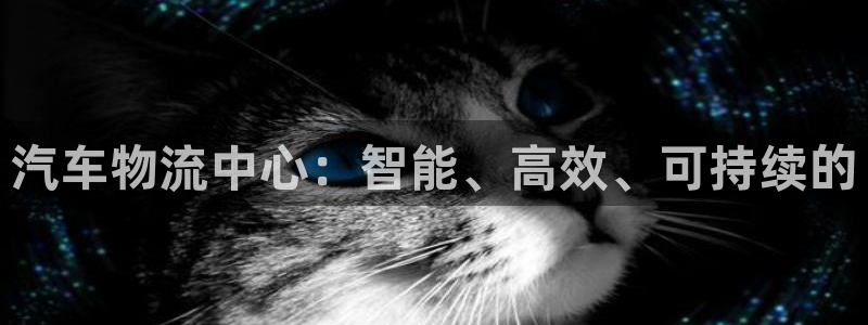 tp钱包支持trc20：汽车物流中心