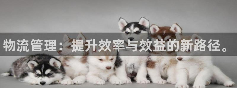 tp钱包存fil：物流管理：提升效率