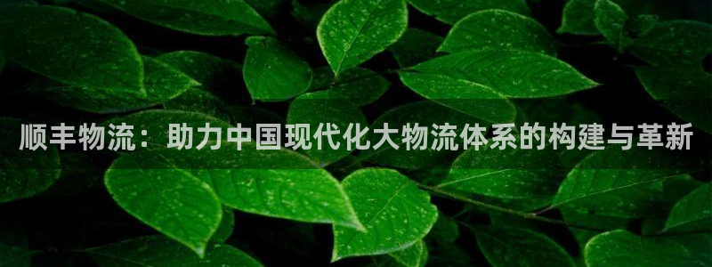 tp钱包mdx挖矿：顺丰物流：助力中