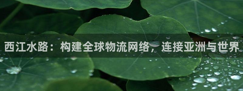 tp钱包如何批量转账