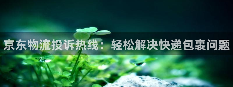 安卓下载tp钱包软件：京东物流投诉热