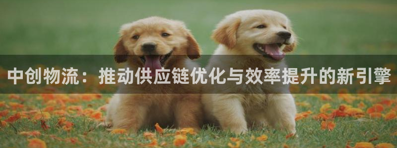 tptp下载第五人格：中创物流：推动