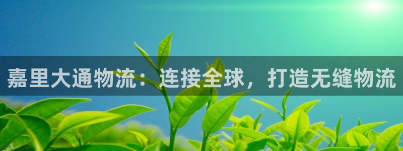 苹果手机tp钱包下载：嘉里大通物流：