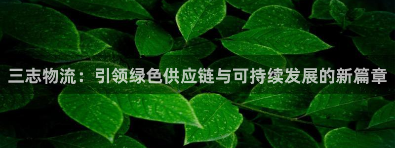 TP钱包最新版下载App