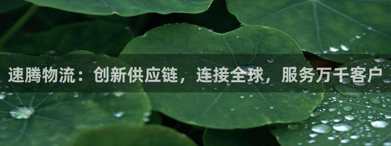 tp钱包卸载后