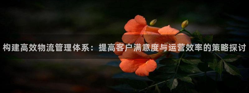 TP钱包app免费下载最新版本安装：