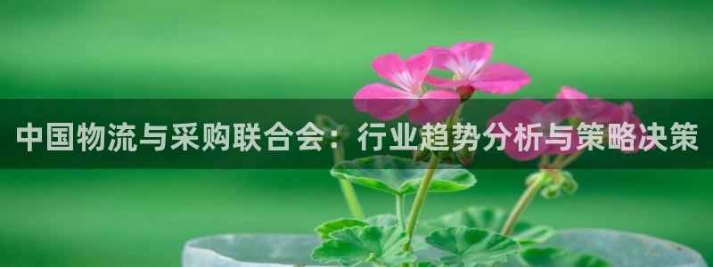 tp钱包怎么存fil：中国物流与采购