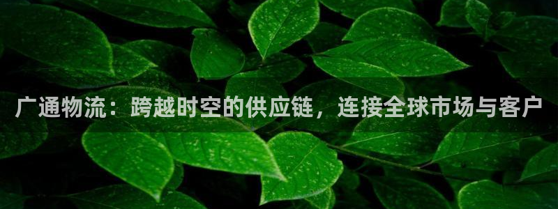 TP钱包ecr20是什么意思：广通物
