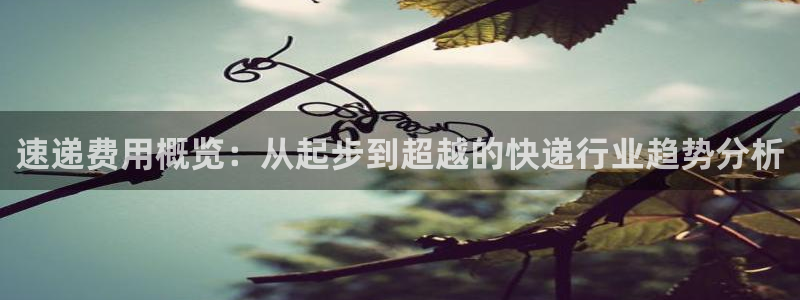tp钱包安卓版：速递费用概览：从起步