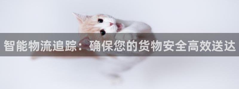 tp钱包内部钱包之间转账：智能物流追