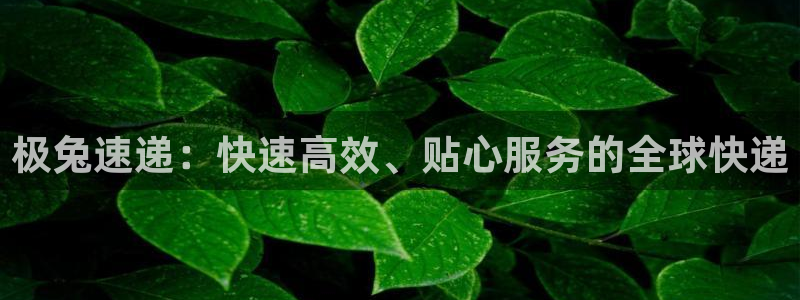 tp钱包下载不了了：极兔速递：快速高