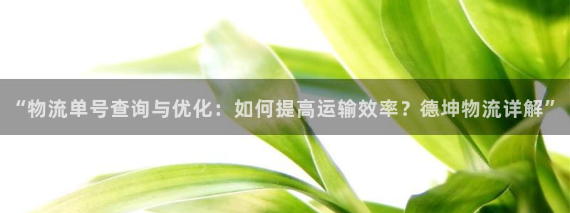 tp钱包网络选择：“物流单号查询与优