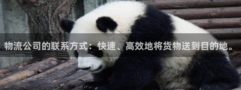 tp钱包创建钱包错误怎么办：物流公司