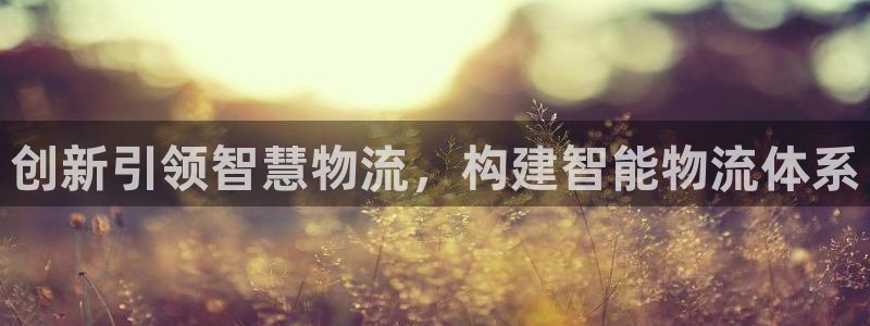 tp钱包app官方下载ios：创新引